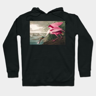 Roseate Spoonbill Robert Havell after John James Audubon 1827 Art Print Hoodie